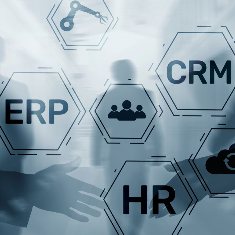 erp y crm